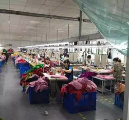 福利到,时尚围巾免费送 大洋天地5楼 福州大型海宁皮草 双面羊绒工厂直销节盛大开幕