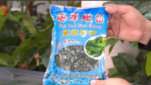 豪新食品市场动态 专栏 鑫浪海洋食品 从霞浦来到晋江 推广销售海鲜干货