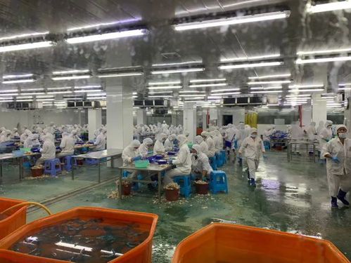 牛蛙豪华工厂登陆美国媒体，海之味引领循环水养殖新标准